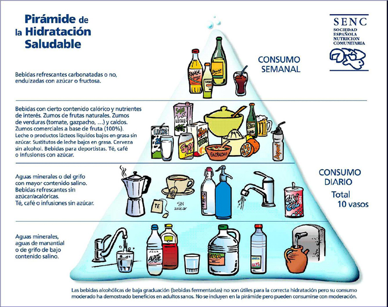Piramide Hidratacion Saludable